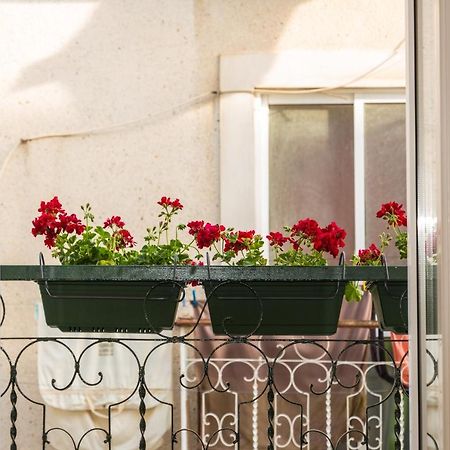 Arrabida House Lägenhet Setúbal Exteriör bild